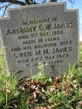 image of grave number 197646